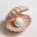 Dreamy Shell Glow Desk Light