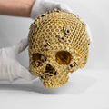 New Skull Resin Crafts Wholesale Creative Design Desktop Decorations Ornaments Art Crafts