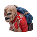 Rock Legend Skull Figure Decor