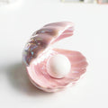 Dreamy Shell Glow Desk Light